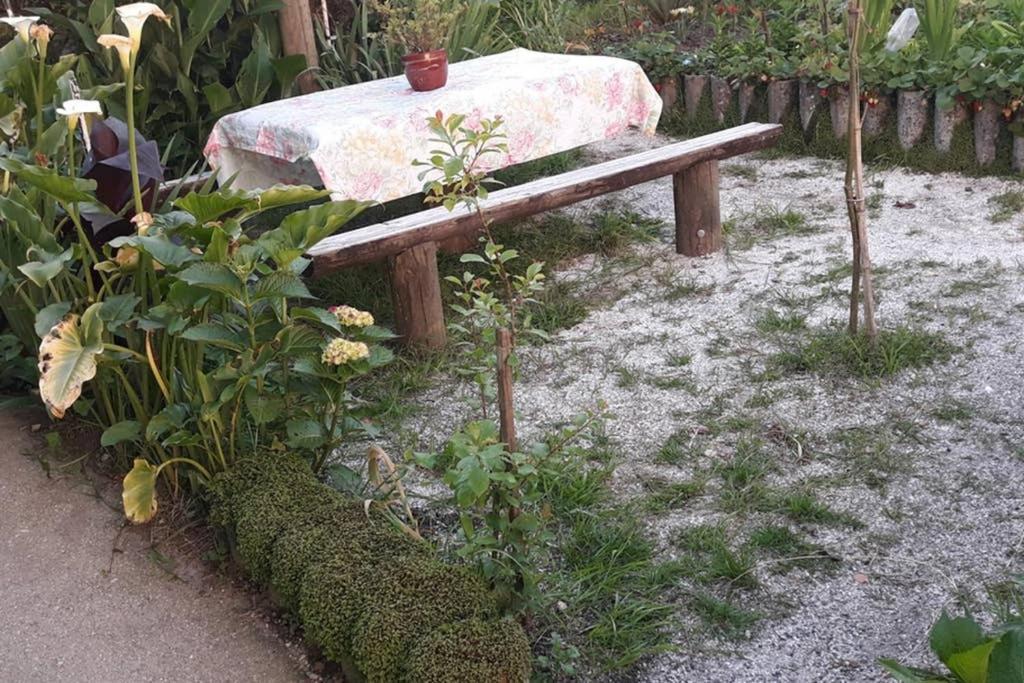 הוילה Padrón Casa Iriense Vut-Co-004308 מראה חיצוני תמונה