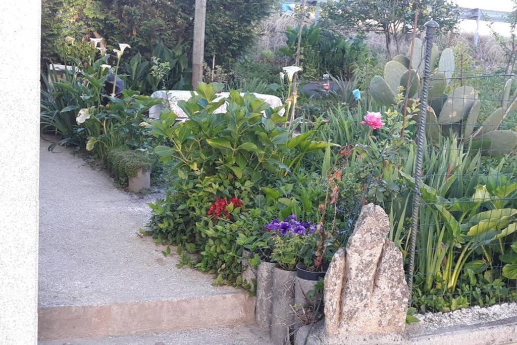 הוילה Padrón Casa Iriense Vut-Co-004308 מראה חיצוני תמונה